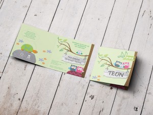 geboortekaartje Teun