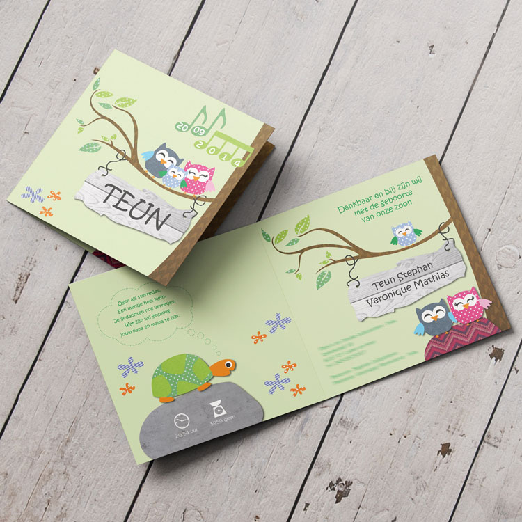 geboortekaartje Teun