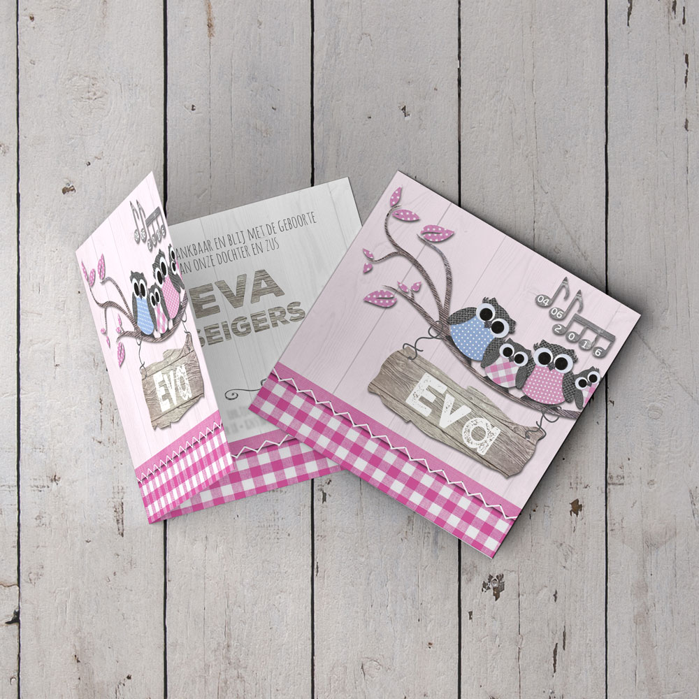 kaartje uiltjesfamilie