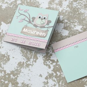 uiltje geboortekaartje