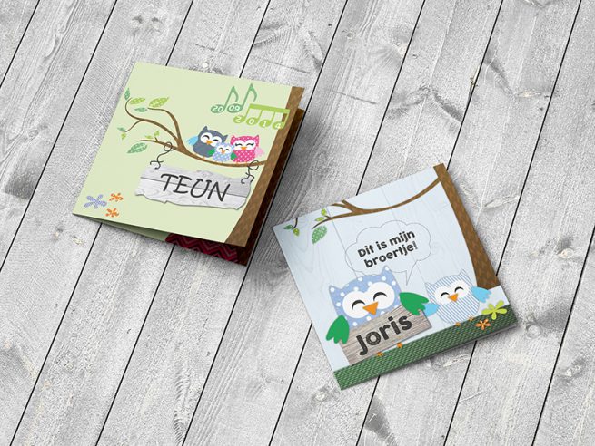 geboortekaartje Teun en Joris